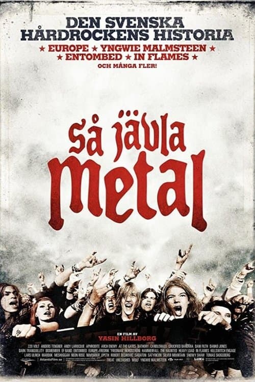 Så jävla metalのポスター