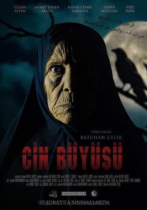 Cin Büyüsüのポスター