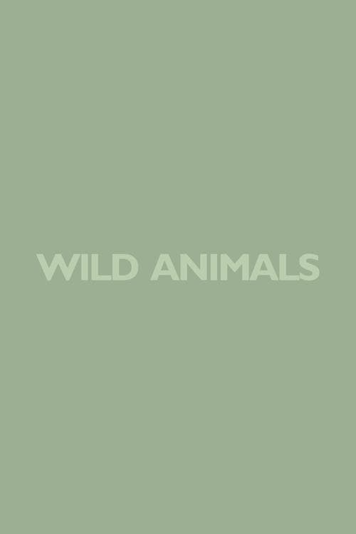 Wild Animalsのポスター