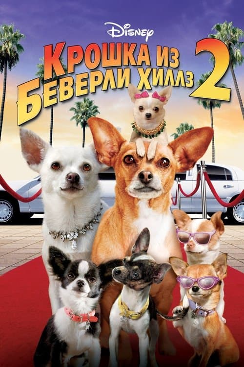 ビバリーヒルズ チワワ2のポスター