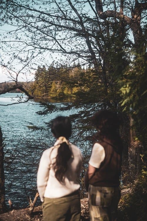 Lève les yeux au cielのポスター