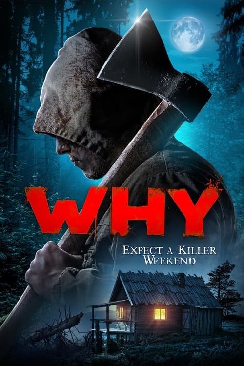 Why?のポスター