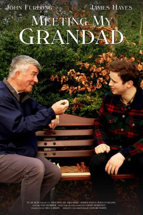 Meeting My Grandadのポスター