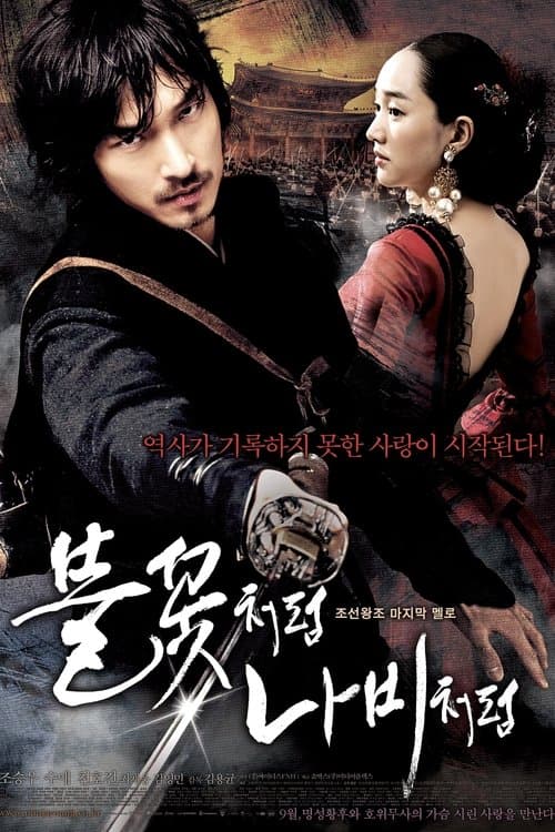 불꽃처럼 나비처럼のポスター