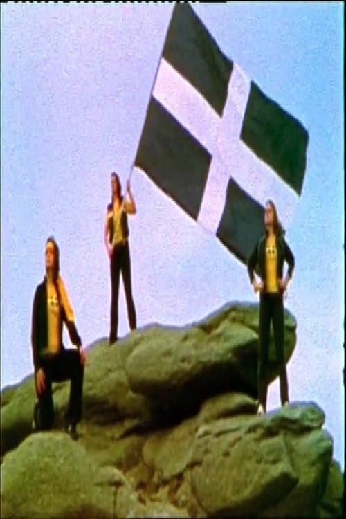 Kernows Kickass Kunfu Kweensのポスター