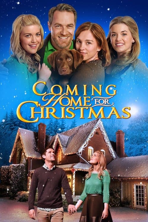 Coming Home for Christmasのポスター