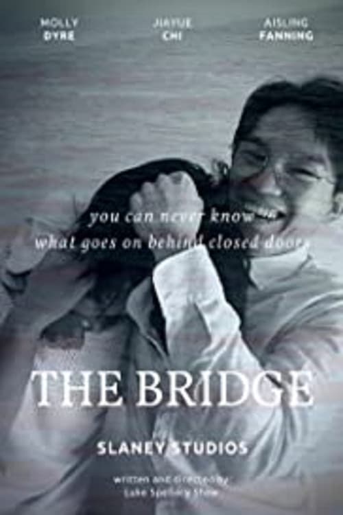 The Bridgeのポスター