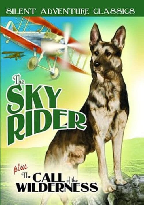 The Sky Riderのポスター