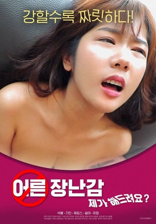 어른장난감: 제가 해드려요?のポスター