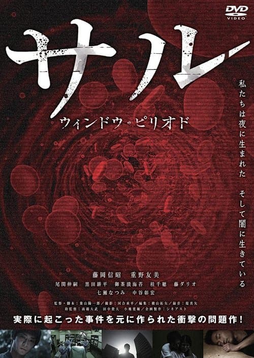サル ウインドウ・ピリオドのポスター