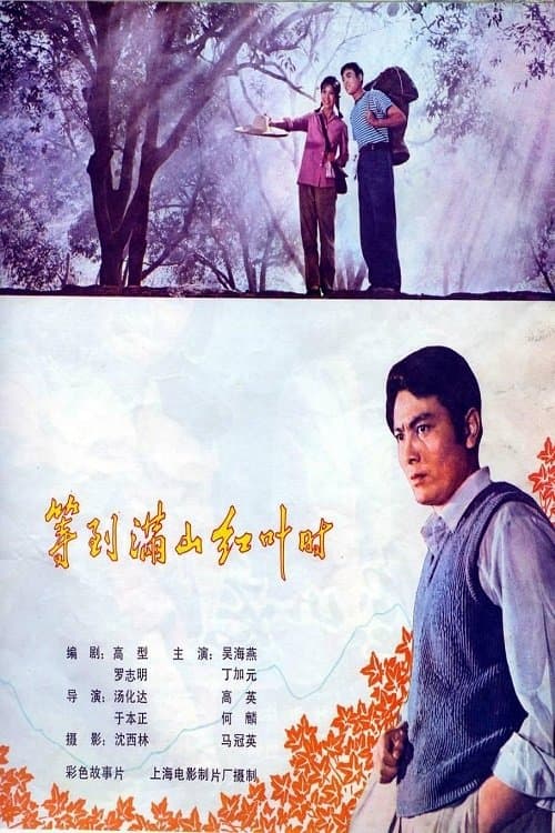 等到满山红叶时のポスター