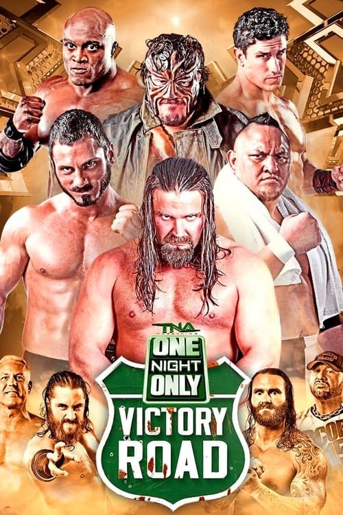 TNA One Night Only: Victory Road 2014のポスター