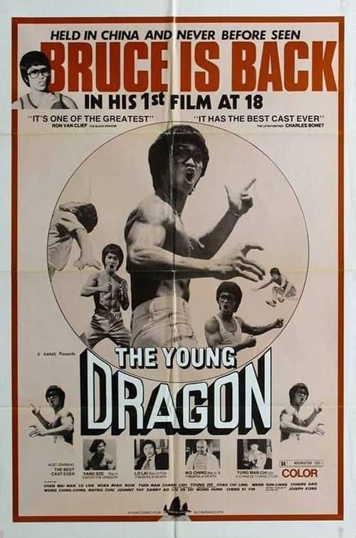 Young Dragonのポスター