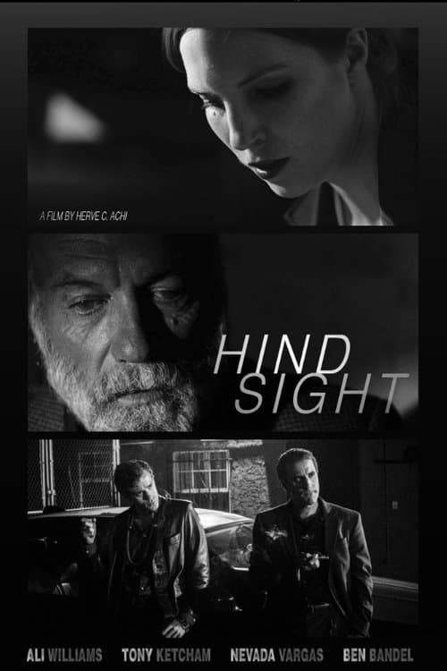 Hindsightのポスター