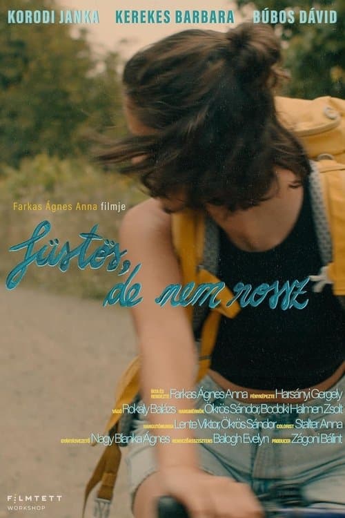 Füstös, de nem rosszのポスター