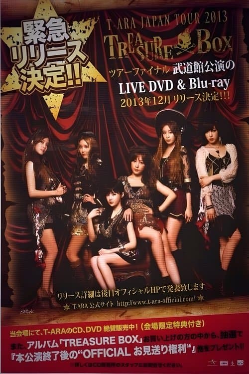 T-ARA Japan Tour 2013 - Treasure Box- 2nd TOUR FINAL In Budokanのポスター