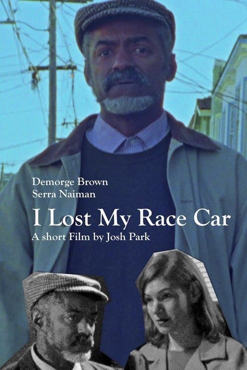 I Lost My Race Carのポスター