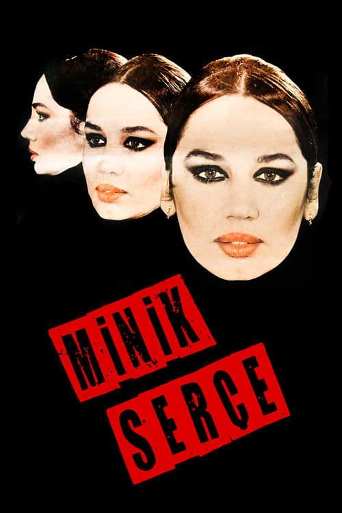 Minik Serçeのポスター