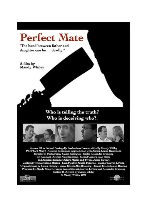 Perfect Mateのポスター