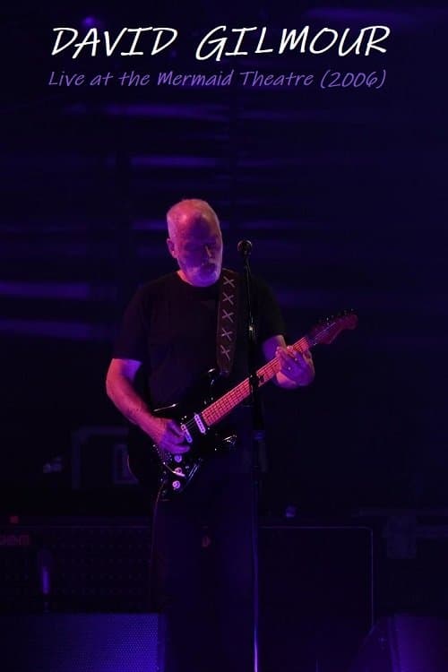 David Gilmour at London Mermaid Theatreのポスター