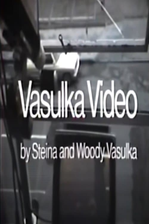 Vasulka Videoのポスター