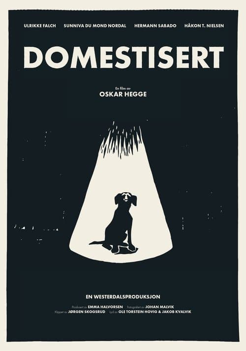 Domestisertのポスター