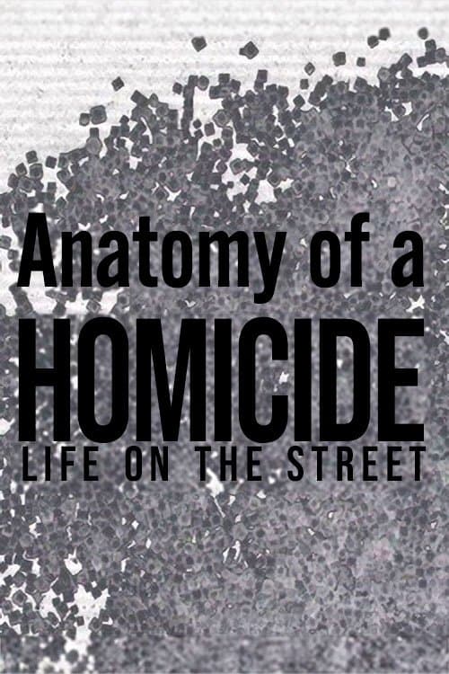 Anatomy of a 'Homicide: Life on the Street'のポスター