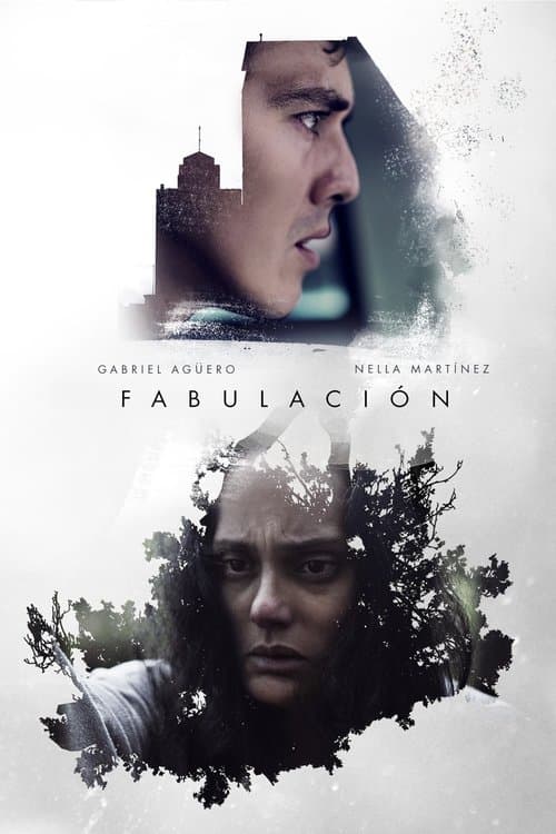Fabulaciónのポスター