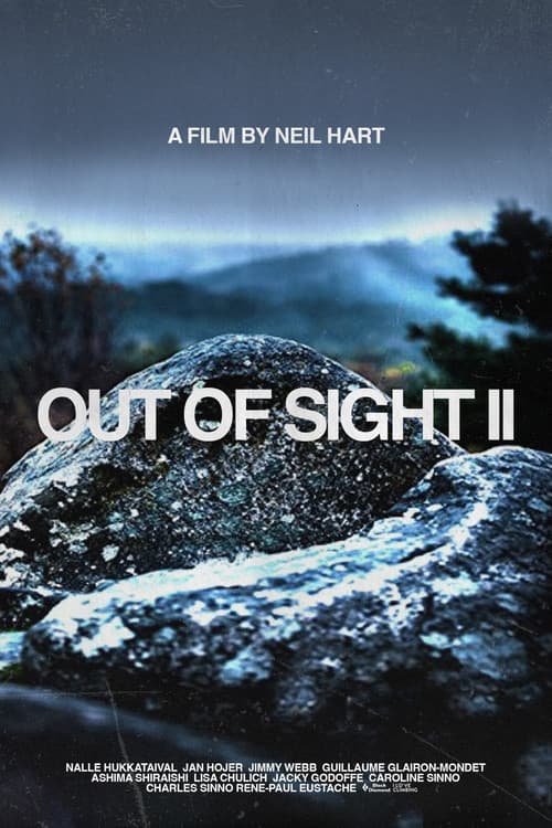 Out of Sight IIのポスター
