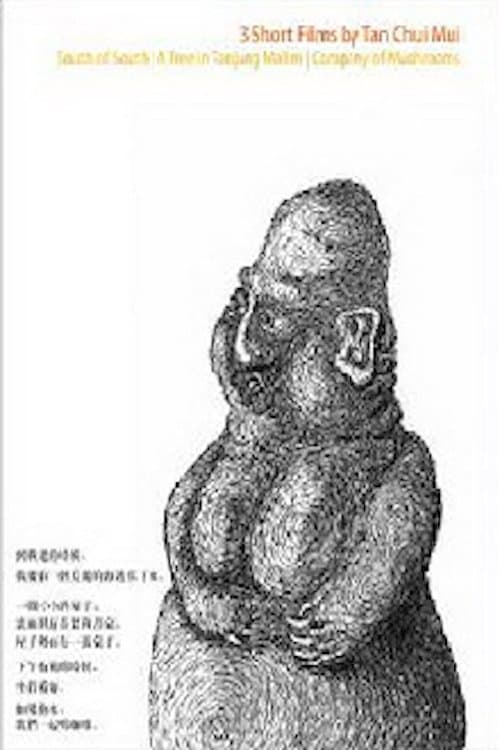 南国以南のポスター