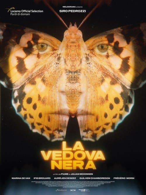 La vedova neraのポスター