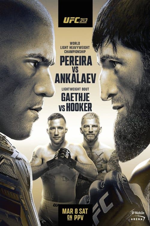 UFC 313: Pereira vs. Ankalaevのポスター