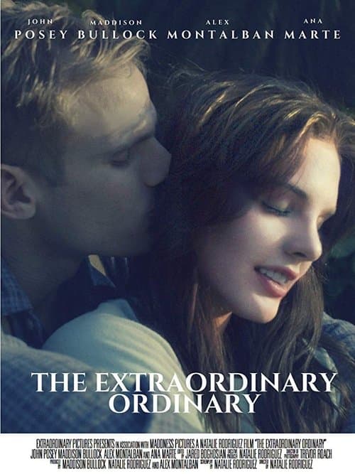 The Extraordinary Ordinaryのポスター