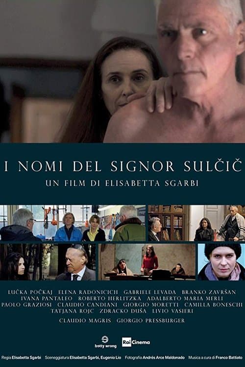 I nomi del signor Sulcicのポスター