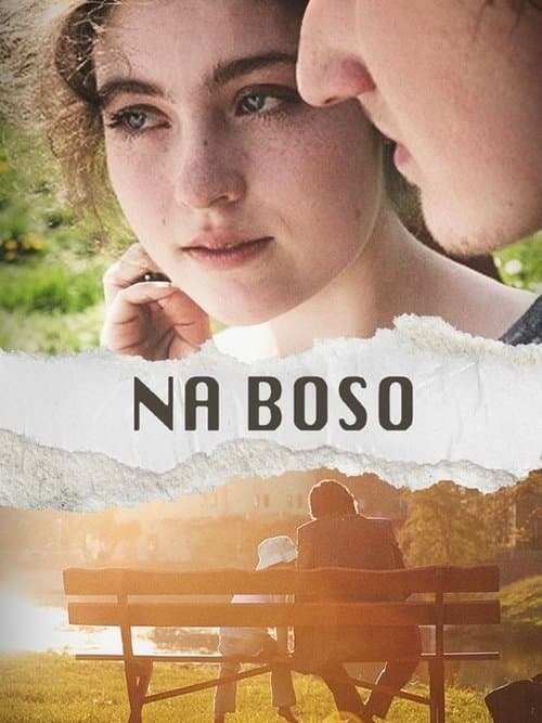 Na bosoのポスター