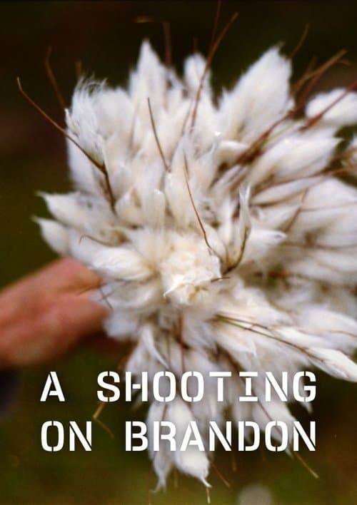 A Shooting on Brandonのポスター