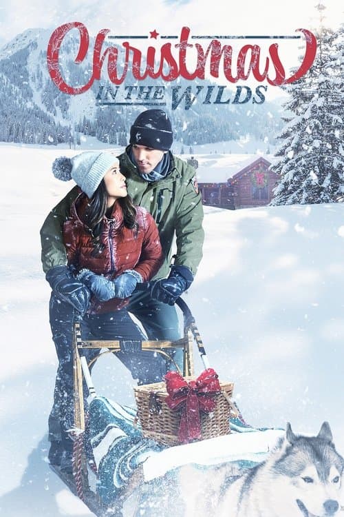 Christmas in the Wildsのポスター