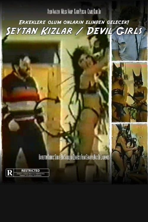 Şeytan kızlarのポスター