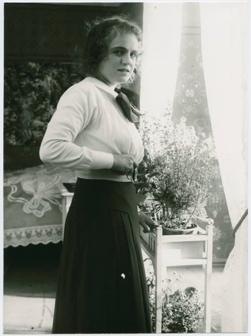 Lyckonålenのポスター