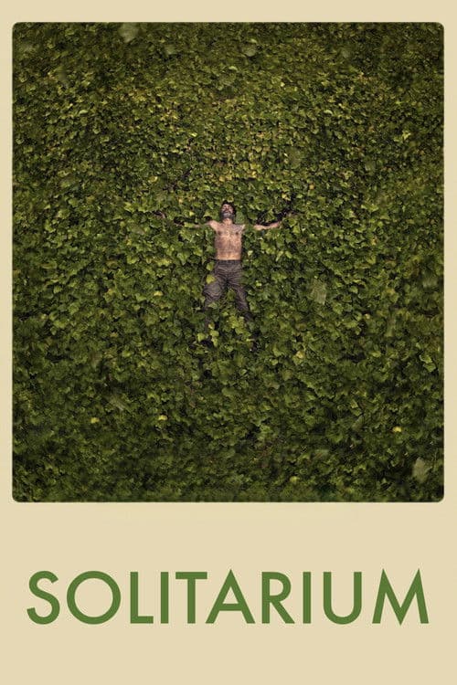 Solitariumのポスター