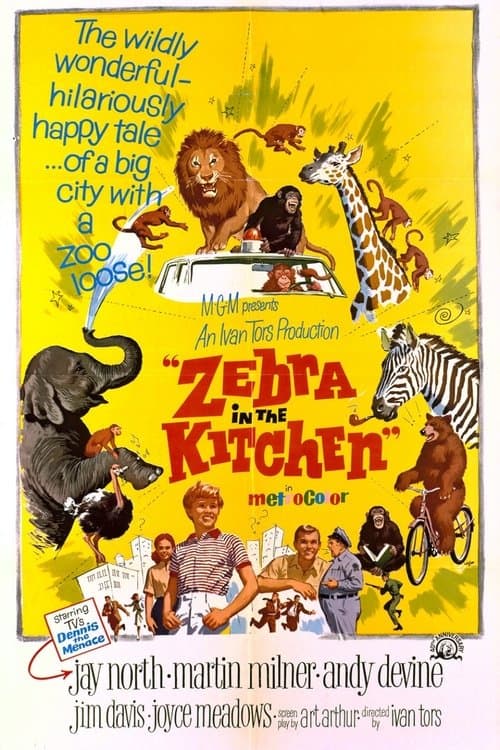 Zebra in the Kitchenのポスター