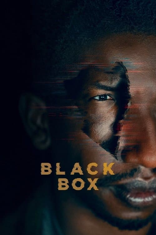 ブラック・ボックスのポスター