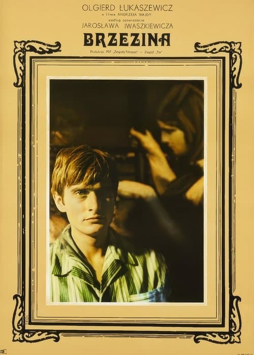 Brzezinaのポスター