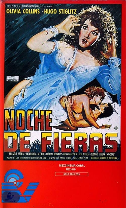 Noche de fierasのポスター