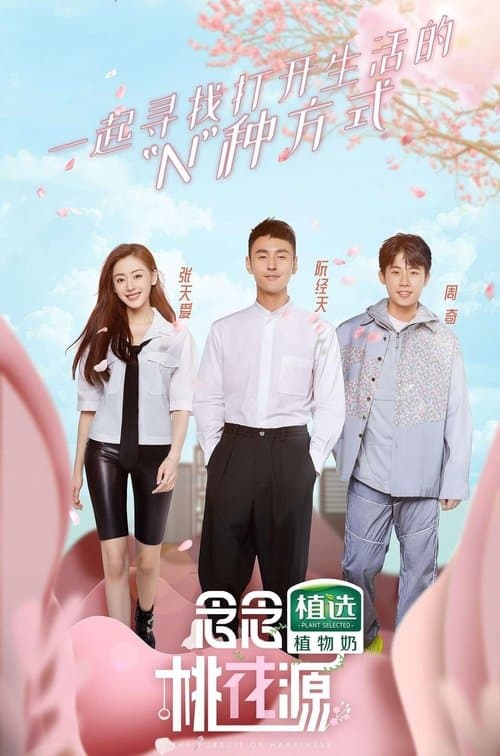 念念桃花源のポスター