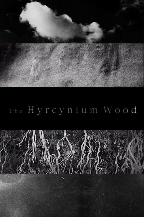 The Hyrcynium Woodのポスター