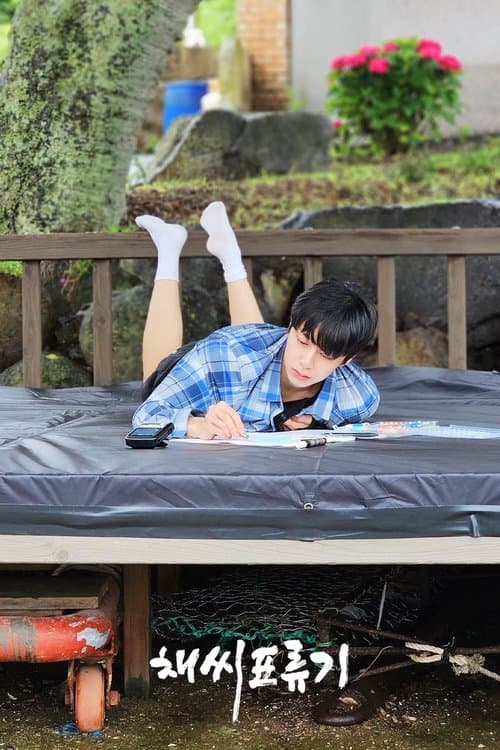 채씨표류기のポスター