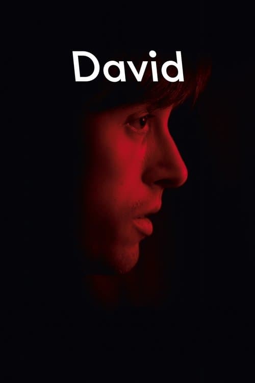 Davidのポスター