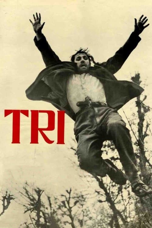 Triのポスター
