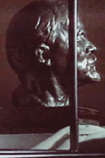 Disgraced Monumentsのポスター